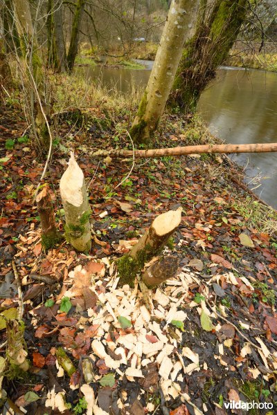 Vallei van de Ourthe