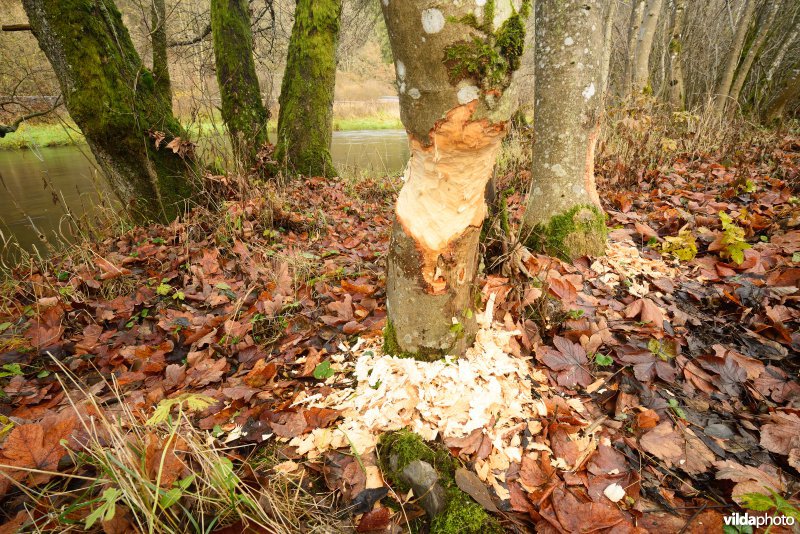 Vallei van de Ourthe