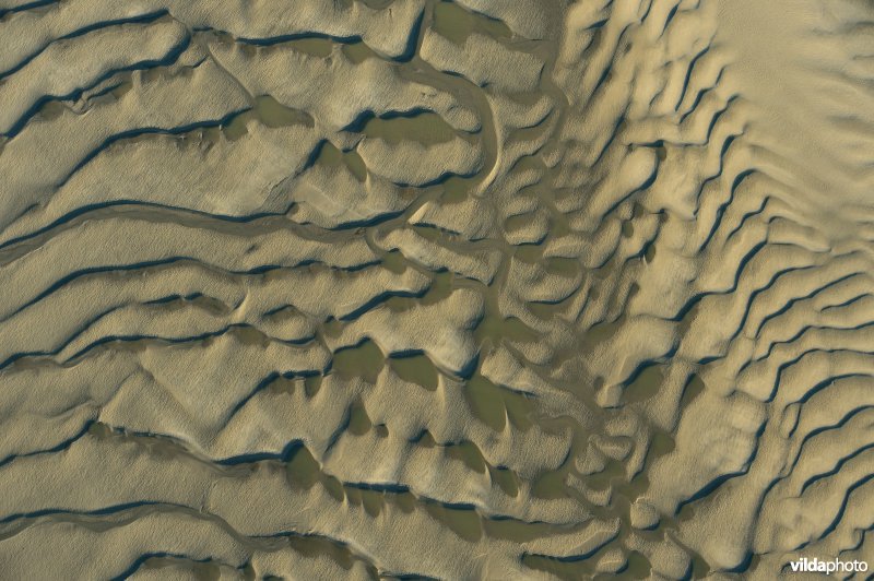 Verdronken land van Saeftinge 