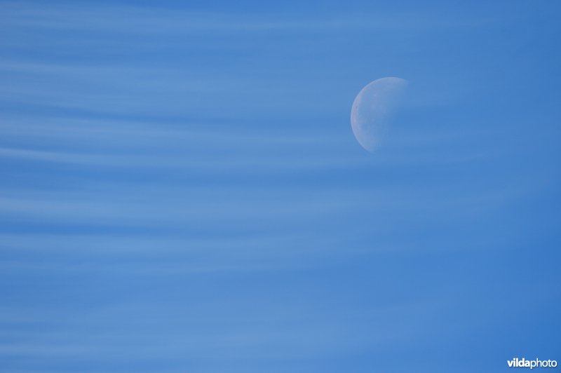 De maan