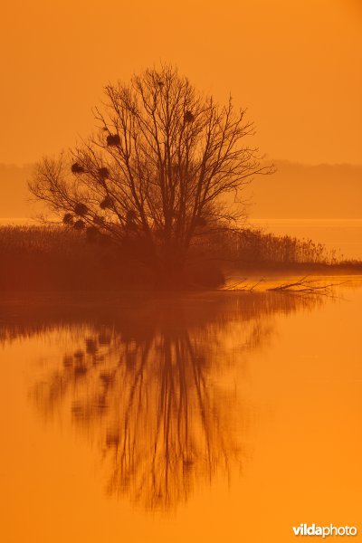 Het meer van Der