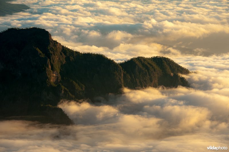 Wolken in vulkaankrater