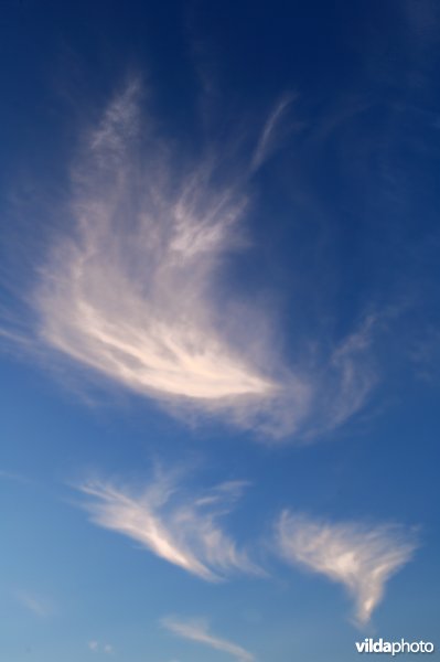 Wolken in blauwe hemel