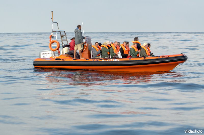 Vogelaars in een RIB (rigid inflatable boat) op de atlantische oceaan voor de kust van Sagres, Portugal
