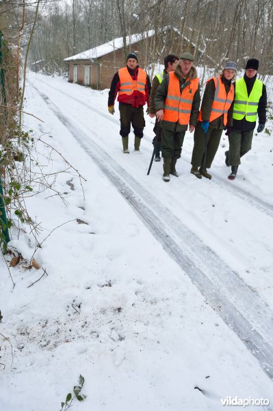 Everzwijnjacht in Vloethemveld