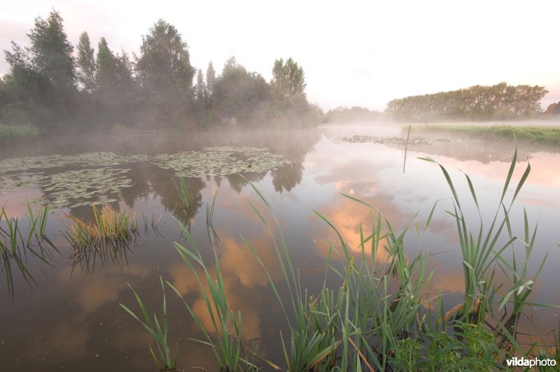 Boterput in de Assels