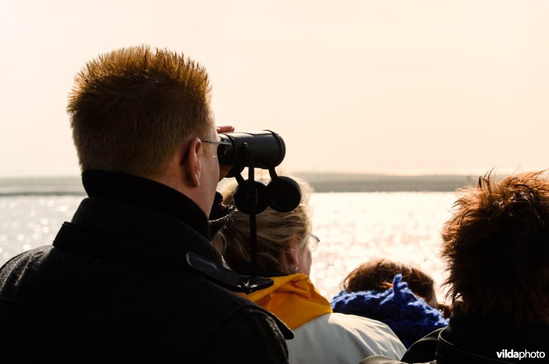 Vogelaars tellen vogels op het IJsselmeer.