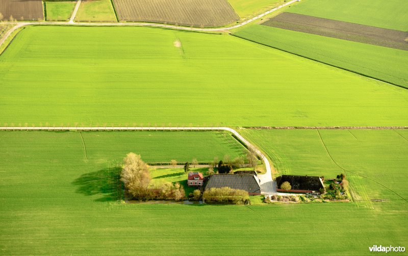 Kop-hals-romp boerderij