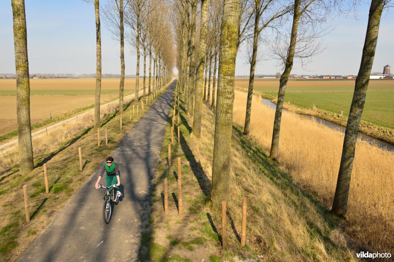 Fietsen op de Koningsdijk