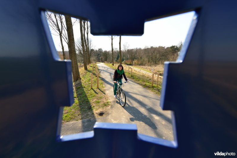 Fietsen op de Koningsdijk