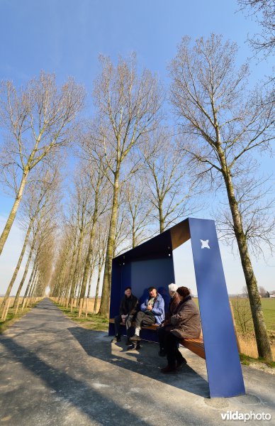 Koningsdijk