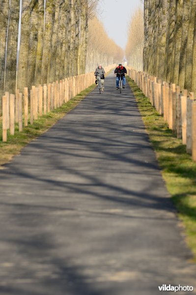 Fietsen op de Koningsdijk