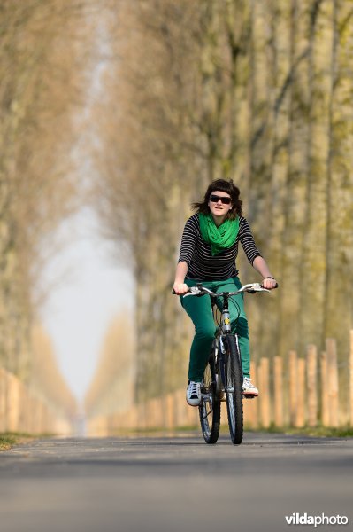 Fietsen op de Koningsdijk