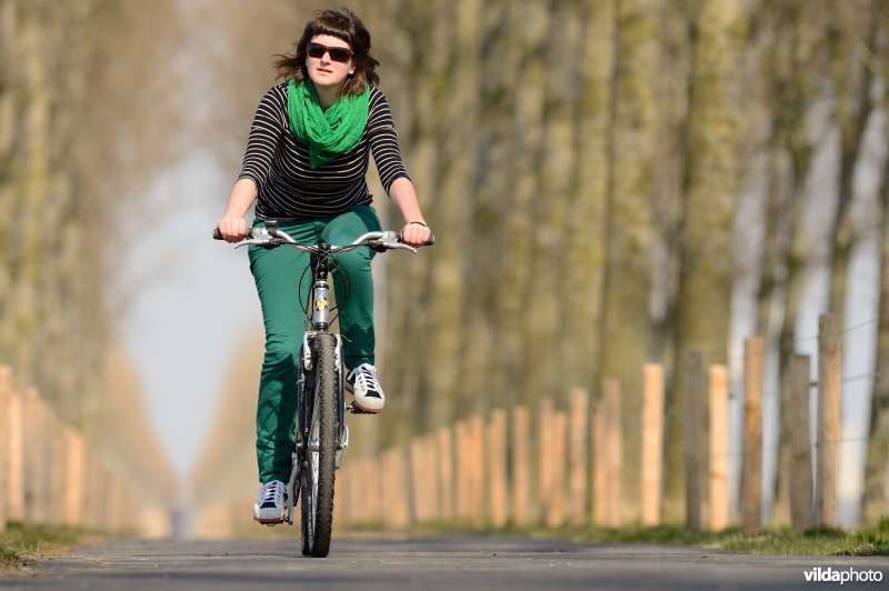 Fietsen op de Koningsdijk