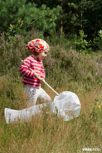 Meisje met vlindernet