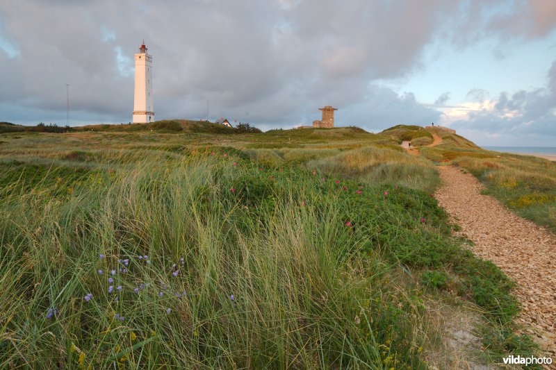 Vuurtoren in de duinen