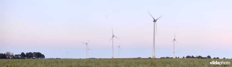 Windturbines bij zonsondergang