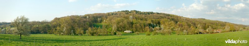Schoppemerheide