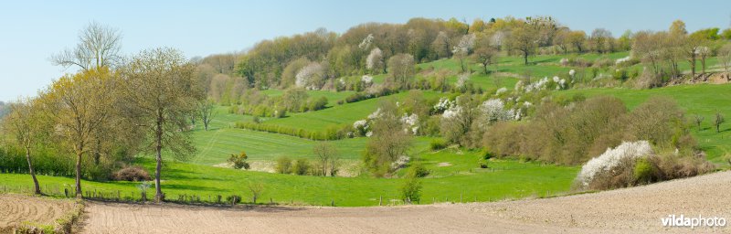 Haagjes in een bocagelandschap