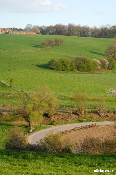 Restanten van een bocagelandschap