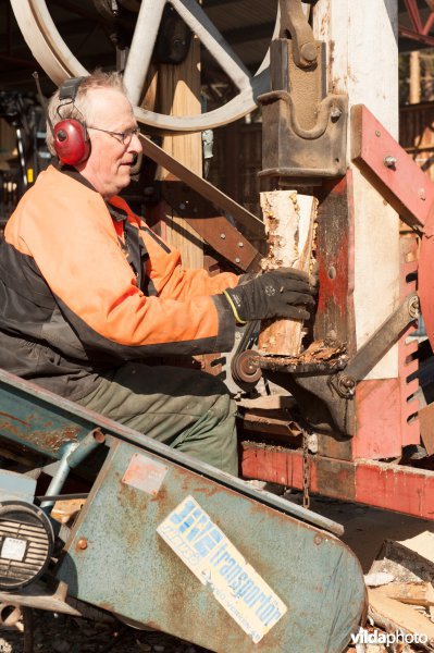 Gunnar en Ingmar zagen hout met een historische machine waarmee een heel dorp van brandhout voorzien wordt. De machine zaagt en klooft, met een transportband wordt het hout op een hoop of wagen gestort.