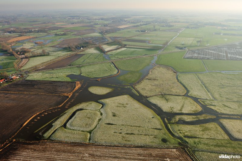 Polders rond Damme