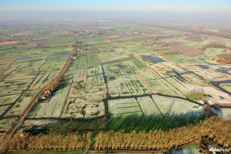 Polders rond Damme