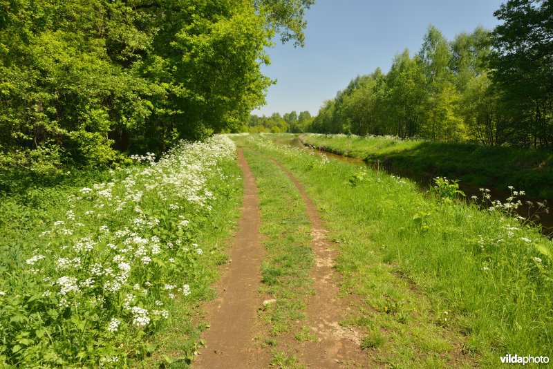 Grote Nete