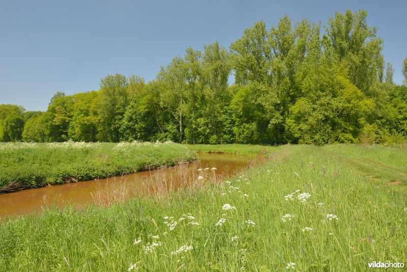 Grote Nete