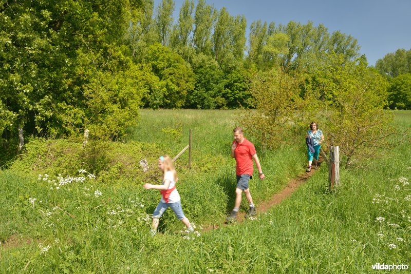 Wandelen langs de Grote Nete