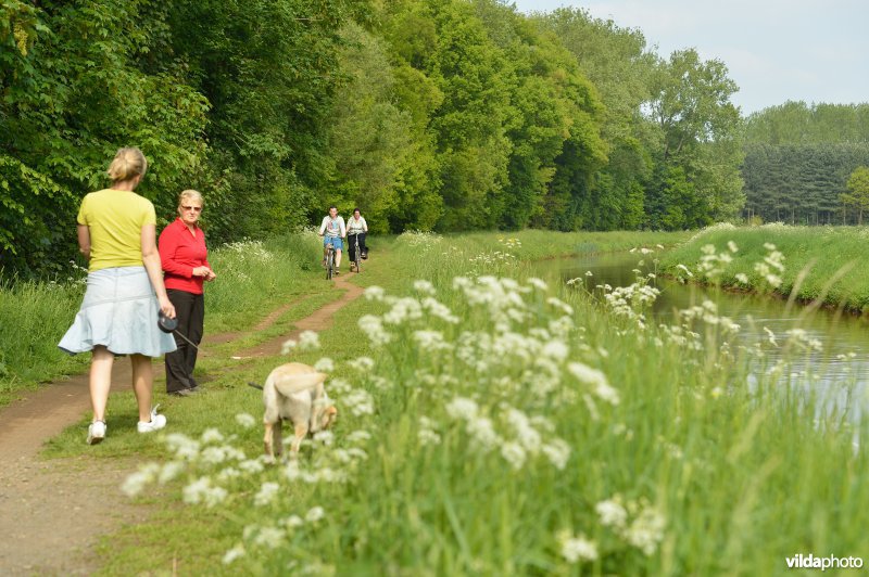 Wandelen langs de Grote Nete