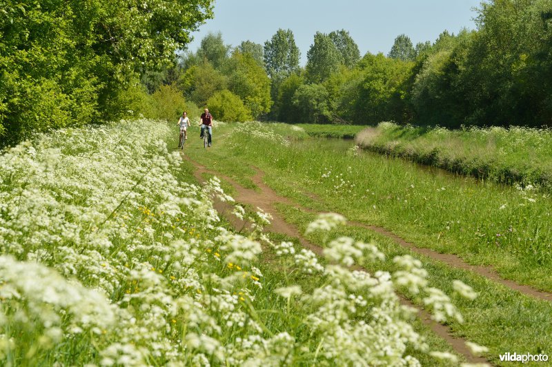 Fietsen langs de Grote Nete