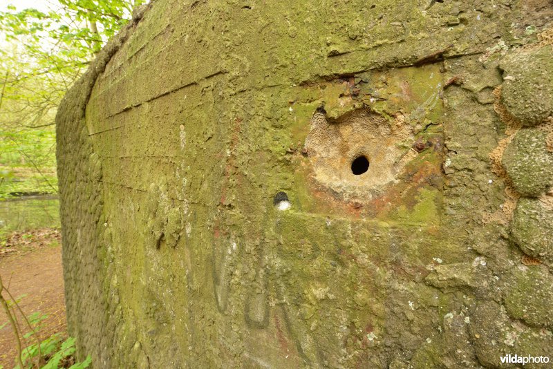 Bunker in de Inslag