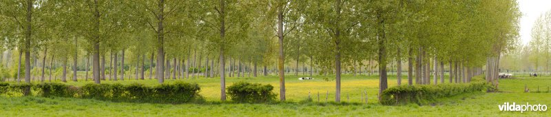 Coulissenlandschap in de Getevallei