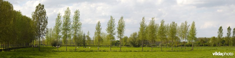 Coulissenlandschap in de Getevallei