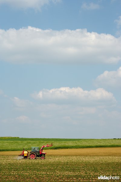 Tractor spuit pesticiden op een akker