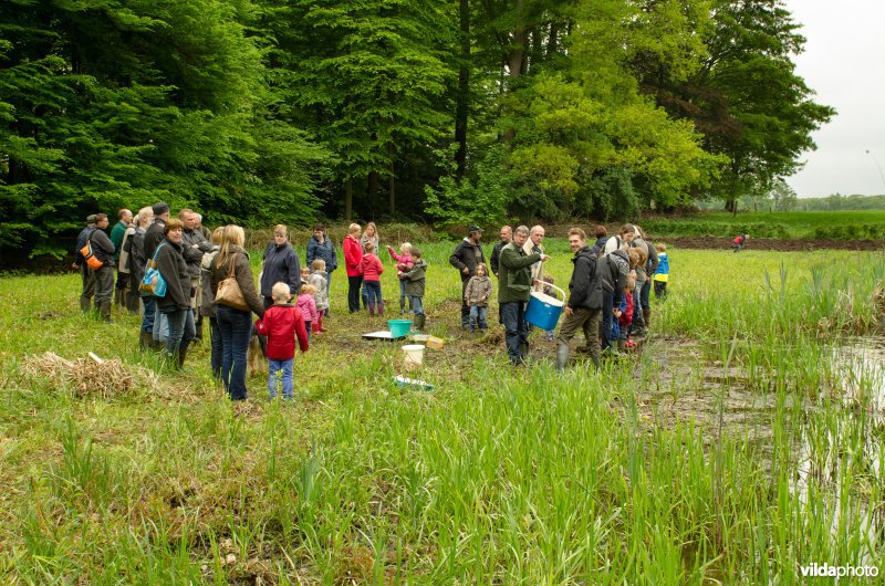 Bijplaatsing larven knoflookpad