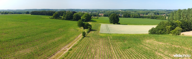 Gevarieerd landbouwlandschap