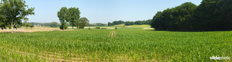 Gevarieerd landbouwlandschap