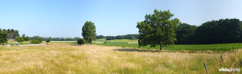 Gevarieerd landbouwlandschap