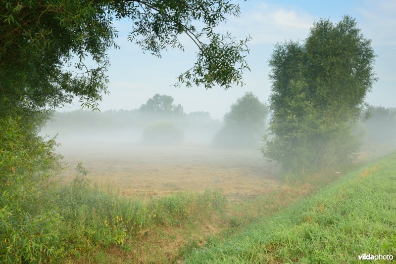 Vallei van de Grote Nete