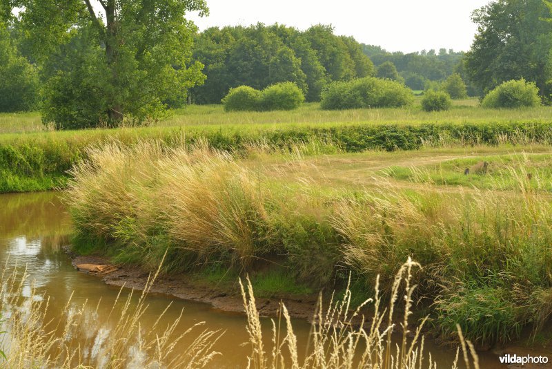 Vallei Zammelsbroek
