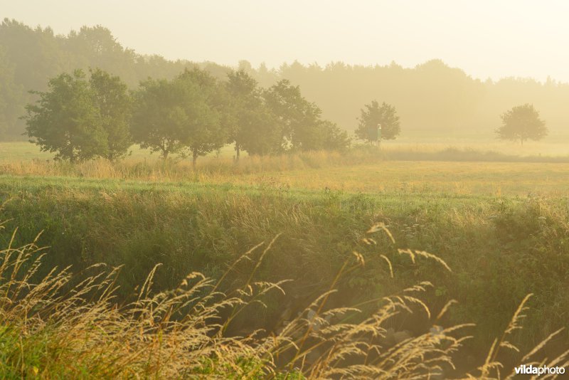 Vallei van de Grote Nete
