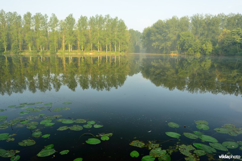 Oudbroekpolder