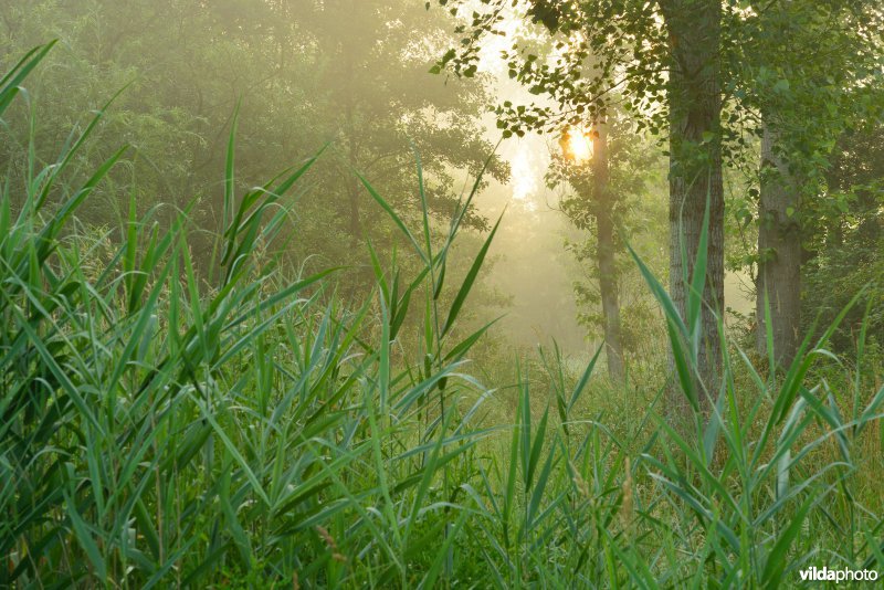 Oudbroekpolder