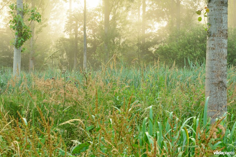Oudbroekpolder