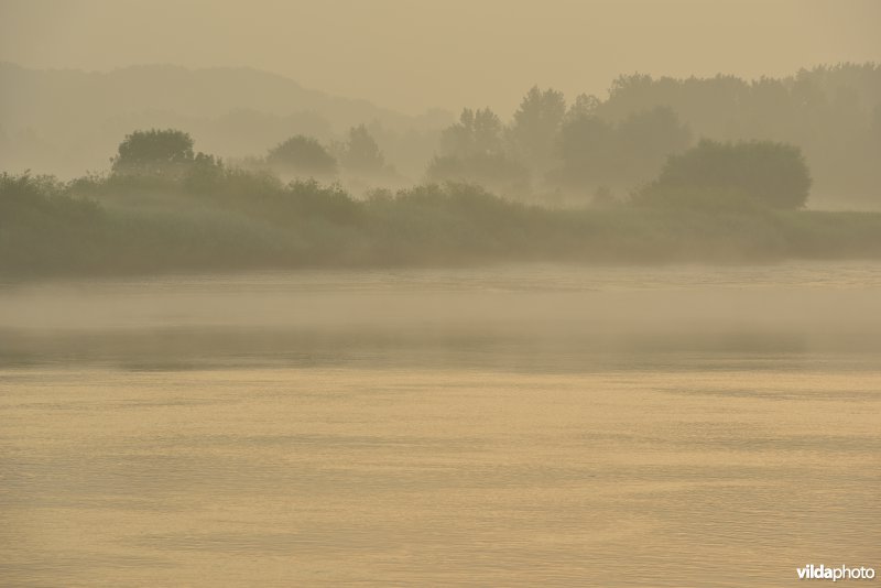 Schelde