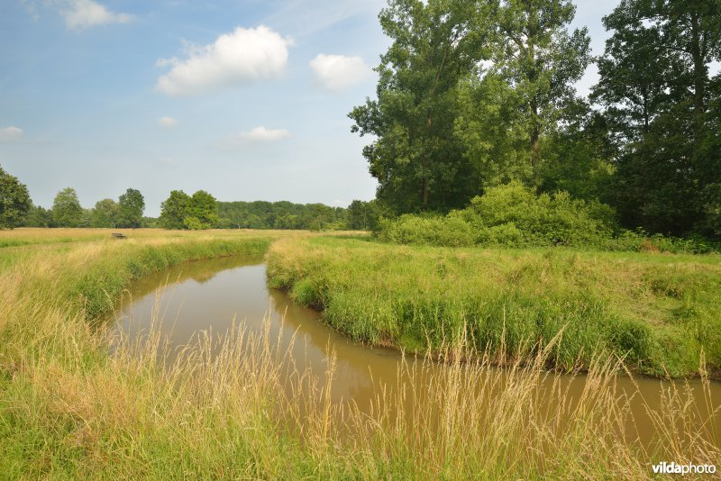 Grote Nete