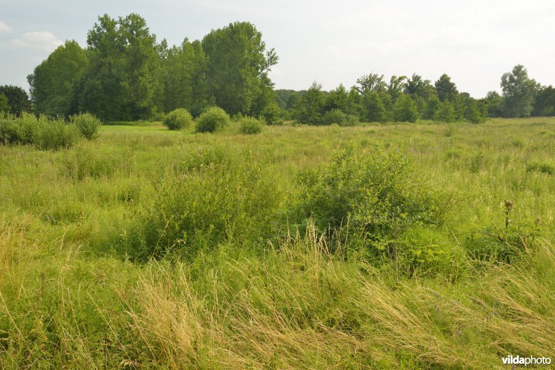 Vallei Zammelsbroek