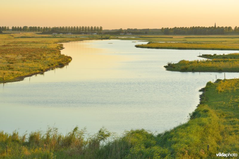 Doelpolder Noord